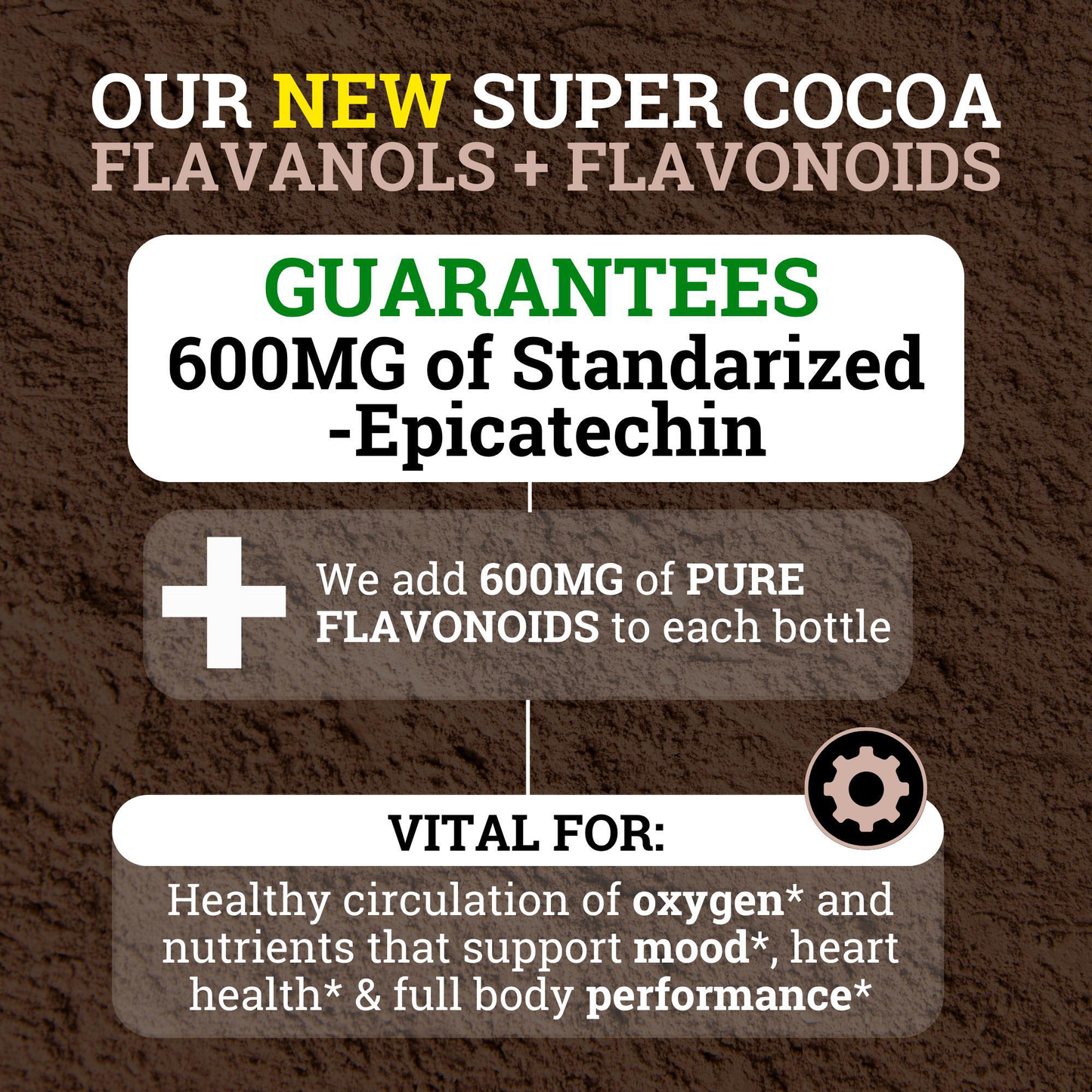 Supercharged Cocoa Flavanols + Flavonoids 1200MG